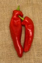 Two ripe peppers on a burlap