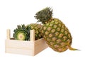 Two ripe pineapples Royalty Free Stock Photo