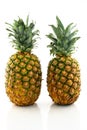 Two ripe pineapples