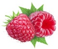 Two ripe raspberry fluits.