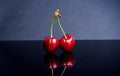 Two ripe red cherries on a blue background Royalty Free Stock Photo