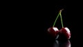 Two ripe red cherries Royalty Free Stock Photo