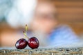 Two ripe red cherries on a defocused background, close-up, the concept of a romantic relationship Royalty Free Stock Photo
