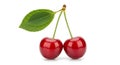 Two ripe red cherries with a single green leaf on a white background Royalty Free Stock Photo