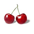 two ripe red cherries on a white background Royalty Free Stock Photo