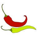 Two ripe, red and green chili peppers, sketch style vector illus