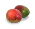 Two ripe red and green mango fruit isolated on white with shadow Royalty Free Stock Photo