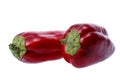 Two ripe red peppers Royalty Free Stock Photo