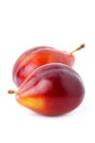Two ripe red plums isolated closeup. Royalty Free Stock Photo
