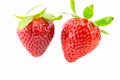 Two Ripe Red Strawberries