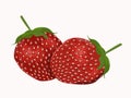 Strawberry. Vector.