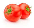 Two ripe red tomatoes vegetables isolated on white background Royalty Free Stock Photo