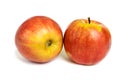 Two ripe ruddy red-yellow apple isolated Royalty Free Stock Photo