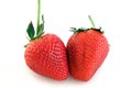 Two Ripe Strawberries Royalty Free Stock Photo