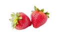 Two ripe strawberries isolated on the white background Royalty Free Stock Photo