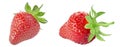 Two ripe strawberries. Isolated on a white background Royalty Free Stock Photo