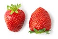 Two ripe strawberry fruits isolated on white background. Clipping path Royalty Free Stock Photo