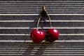 Two ripe sweet cherries with water drop on gray concrete background. Minimalistic style Royalty Free Stock Photo