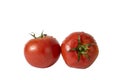 Two ripe tomatoes in water drops. Isolate Royalty Free Stock Photo