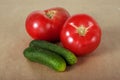 Two ripe tomatos and two cucumbers Royalty Free Stock Photo