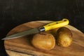 Two ripe whole kiwi fruits on chopping board with knife with black wooden surface Royalty Free Stock Photo