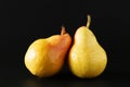 Two ripe williams pears on black background Royalty Free Stock Photo