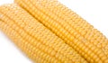 Two ripe yellow corn cob Royalty Free Stock Photo