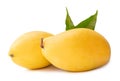 Two ripe yellow mango fruits with green leaves in stack isolated on white background with clipping path Royalty Free Stock Photo