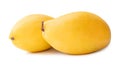 Two ripe yellow mango fruits with water droplets in stack isolated on white background with clipping path Royalty Free Stock Photo