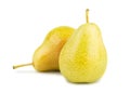 Two ripe yellow pears