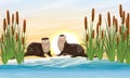 Two river otters sit on the banks of a river or lake in thickets of reeds. Eurasian otter Lutra lutra Royalty Free Stock Photo