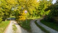 Two roads in forest Royalty Free Stock Photo