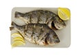 Two roasted denis fishes on plate