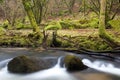 Two rocks in the River Fowey