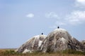 Two Rocks in the wilderness of the Serengeti