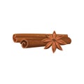 Two rolled cinnamon sticks and anise star. Cooking ingredient. Aromatic condiment. Detailed flat vector design