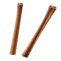 Two rolled sticks of cinnamon. Vector illustration Royalty Free Stock Photo