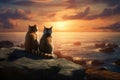 Two romantic cats in love watching the sunset on the sea. Concept of Valentines Day Royalty Free Stock Photo