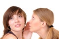 Two romantic gossips Royalty Free Stock Photo