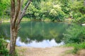 Two rope swings over a beautiful pond.