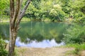 Two rope swings tied to a tree over looking a beautiful pond.