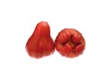 Two rose apple isolated on the white background,Thai fruit Royalty Free Stock Photo