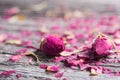 Two rose buds and petals on wooden background Royalty Free Stock Photo