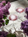 Two rose wine glasses with lilac flowers and shadows on gray background Royalty Free Stock Photo