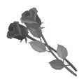 Two roses icon in monochrome style isolated on white background.