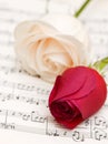 Two roses on the musical notes page