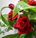 Two roses Red decoration flowers bouquet