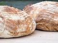 Two round french boule breads