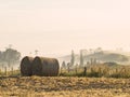 Two round hay bales sitting in a field Royalty Free Stock Photo