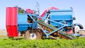 Two row Carrot Picker processing rows of ripe Carrots. Royalty Free Stock Photo